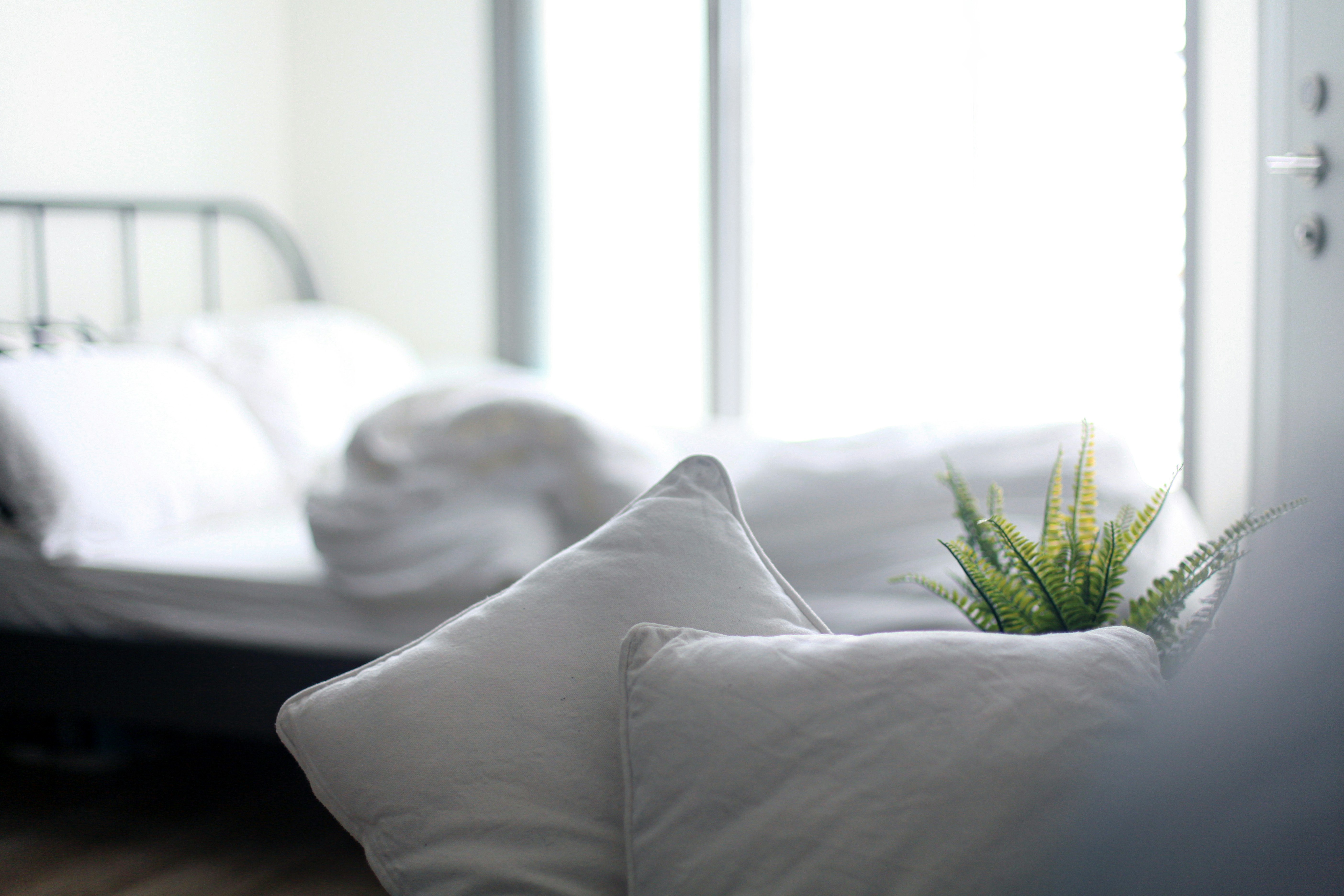 Higher Earnings with JJ Homes Management